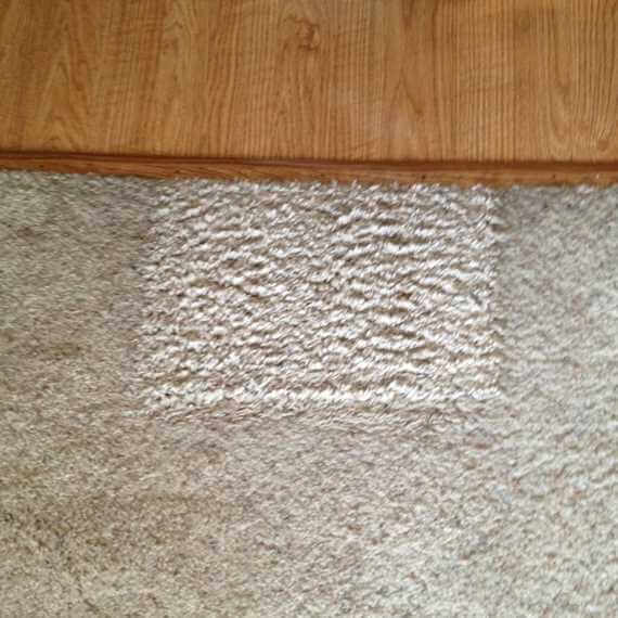 Carpet Cleaning